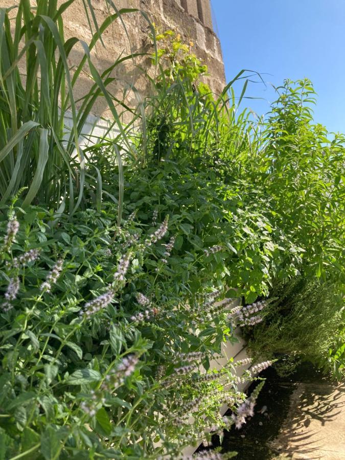מאטינו Corte Baracca B&B Suite מראה חיצוני תמונה